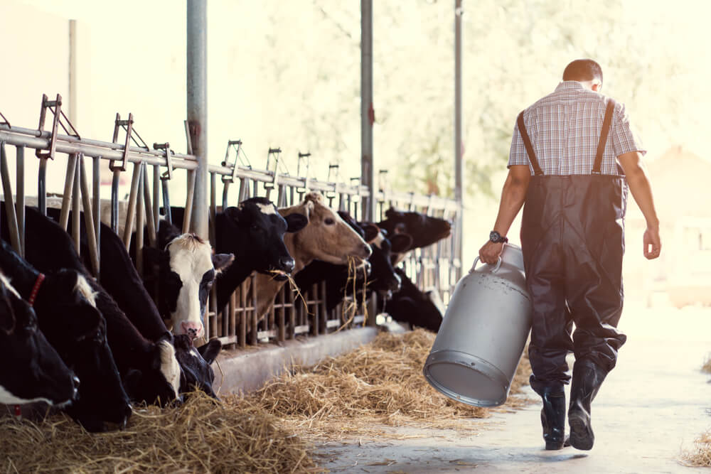 Wibest – US Government: A dairy farmer carrying a milk container.
