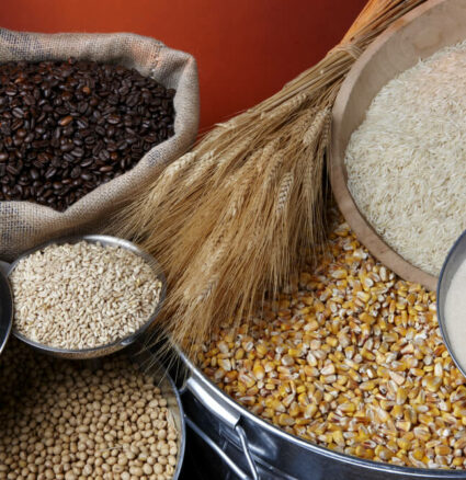 Commodity Exchange: Still life shot of agricultural commodities.