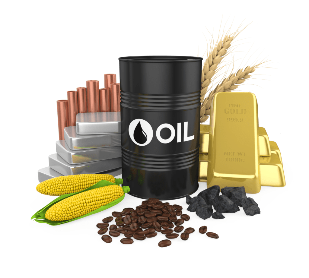 Commodities and the global economy