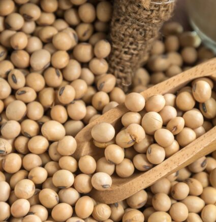 Wibest – Grain Market: Soybeans