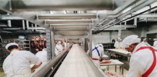 Wibest – Pig: Pork manufacturing facility and its workers.