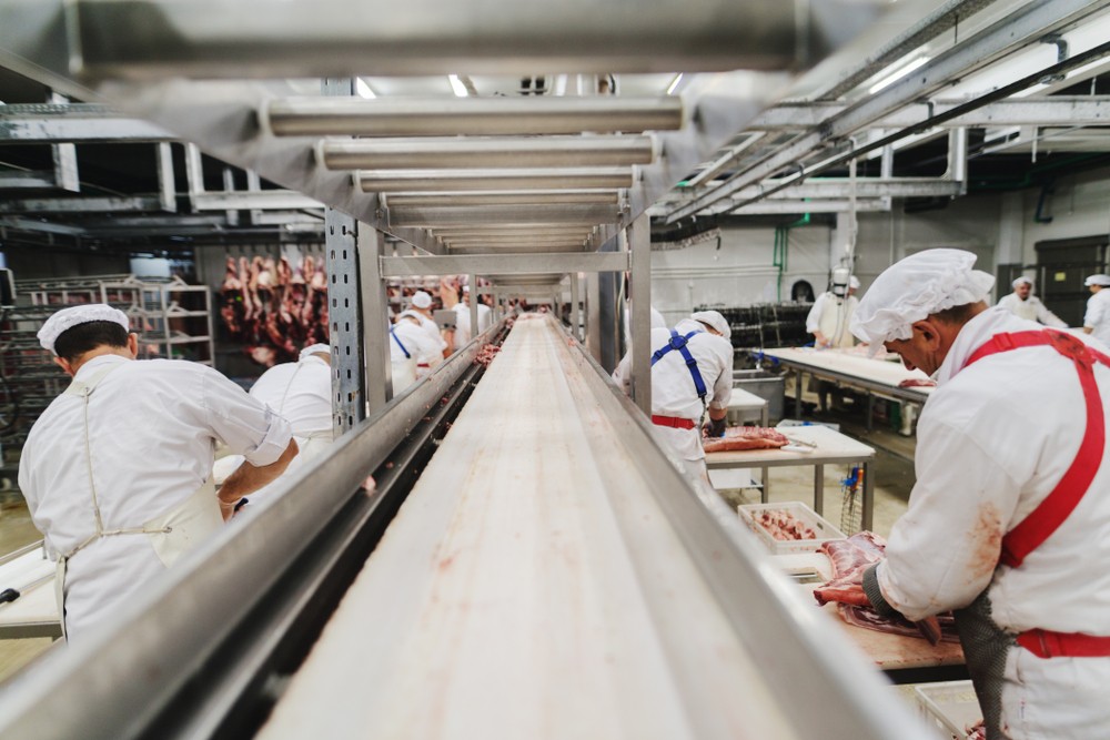Wibest – Pig: Pork manufacturing facility and its workers.