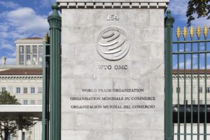 WTO and the global economy