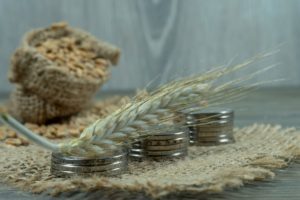 Wheat is on active export demand, grain