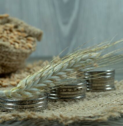 Wheat is on active export demand, grain