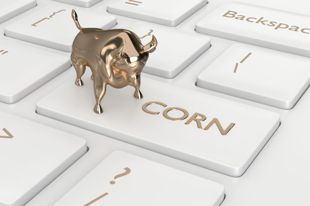 Corn has been bullish on Chicago Stock Exchange