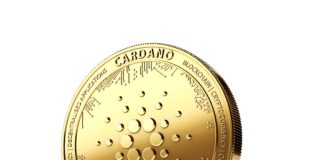 Cardano and its importance