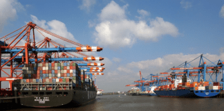 China`s commodity imports push a boom in a dry-bulk shipping