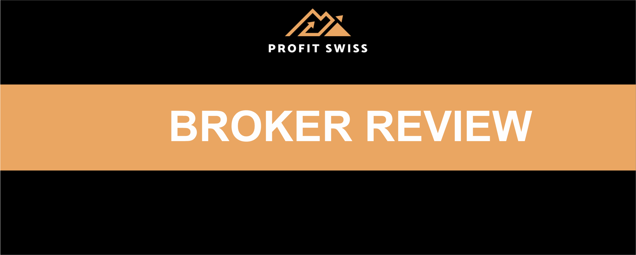 Profit Swiss Review