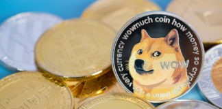 DOGE race car crashes while the coin drops sharply too