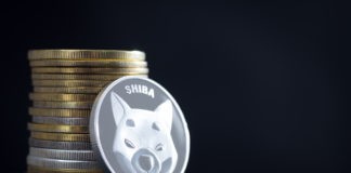 Memecoin Price Wars: Shiba Inu has Fallen by 50%