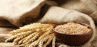 Wheat prices down on Russia-Ukraine ceasefire hopes