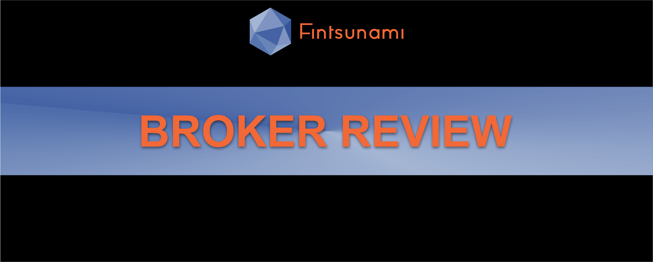 Fintsunami Review
