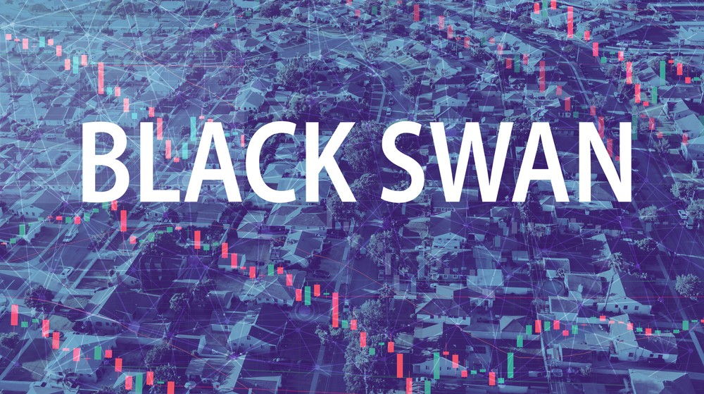 The Black Swan Housing Market Crash Explained.