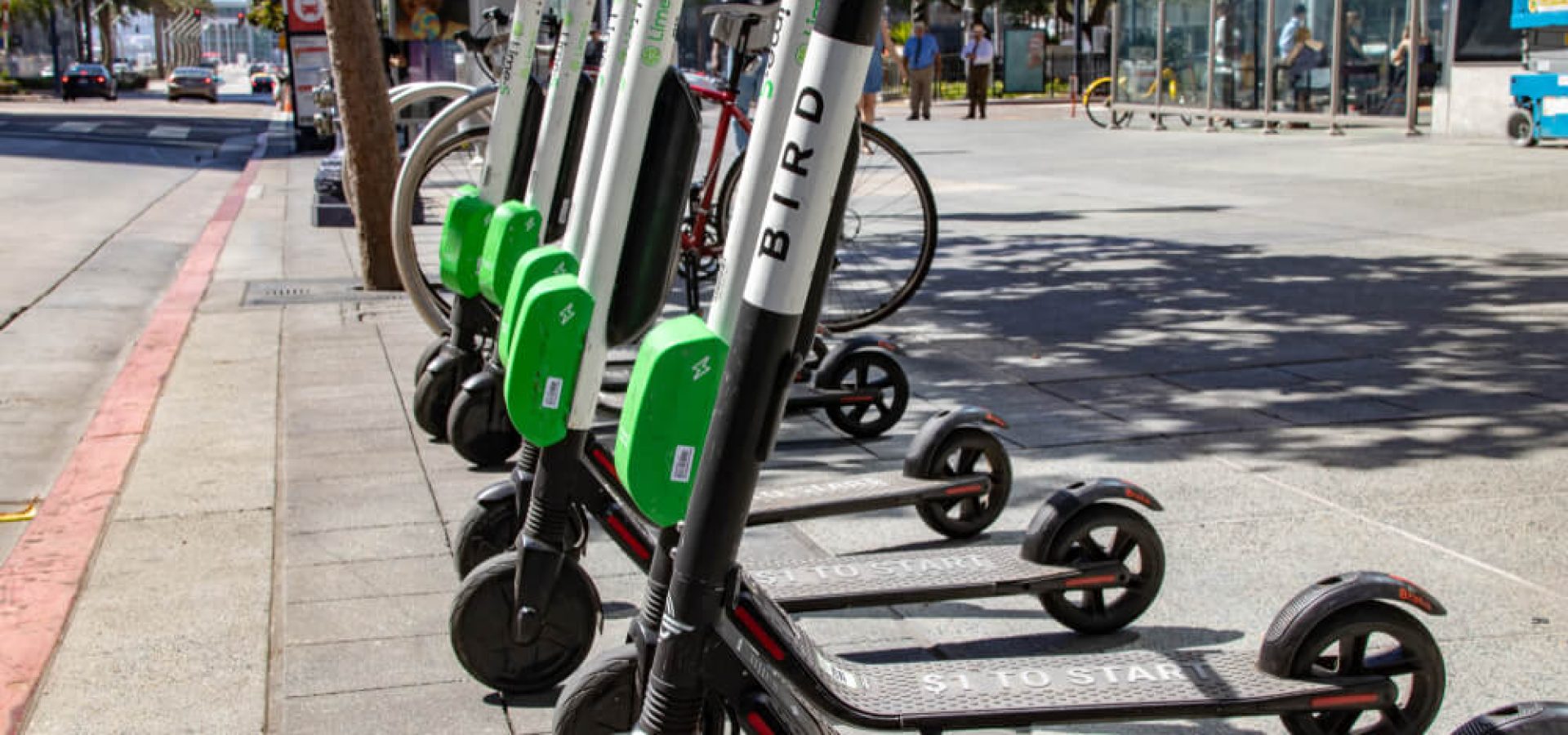 Bird Electric Ride Sharing scooters lined up and ready to rent