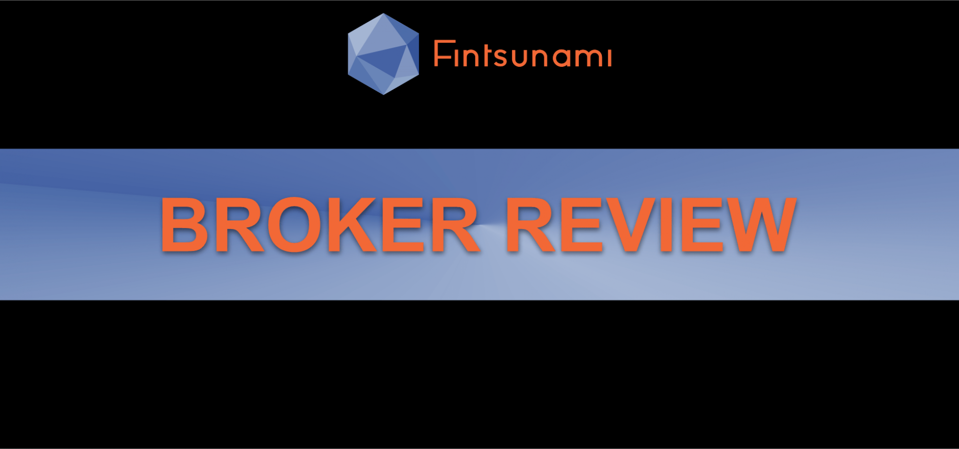 Fintsunami Review