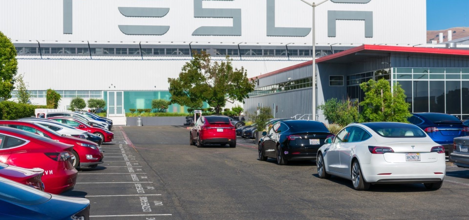 Tesla and its shares