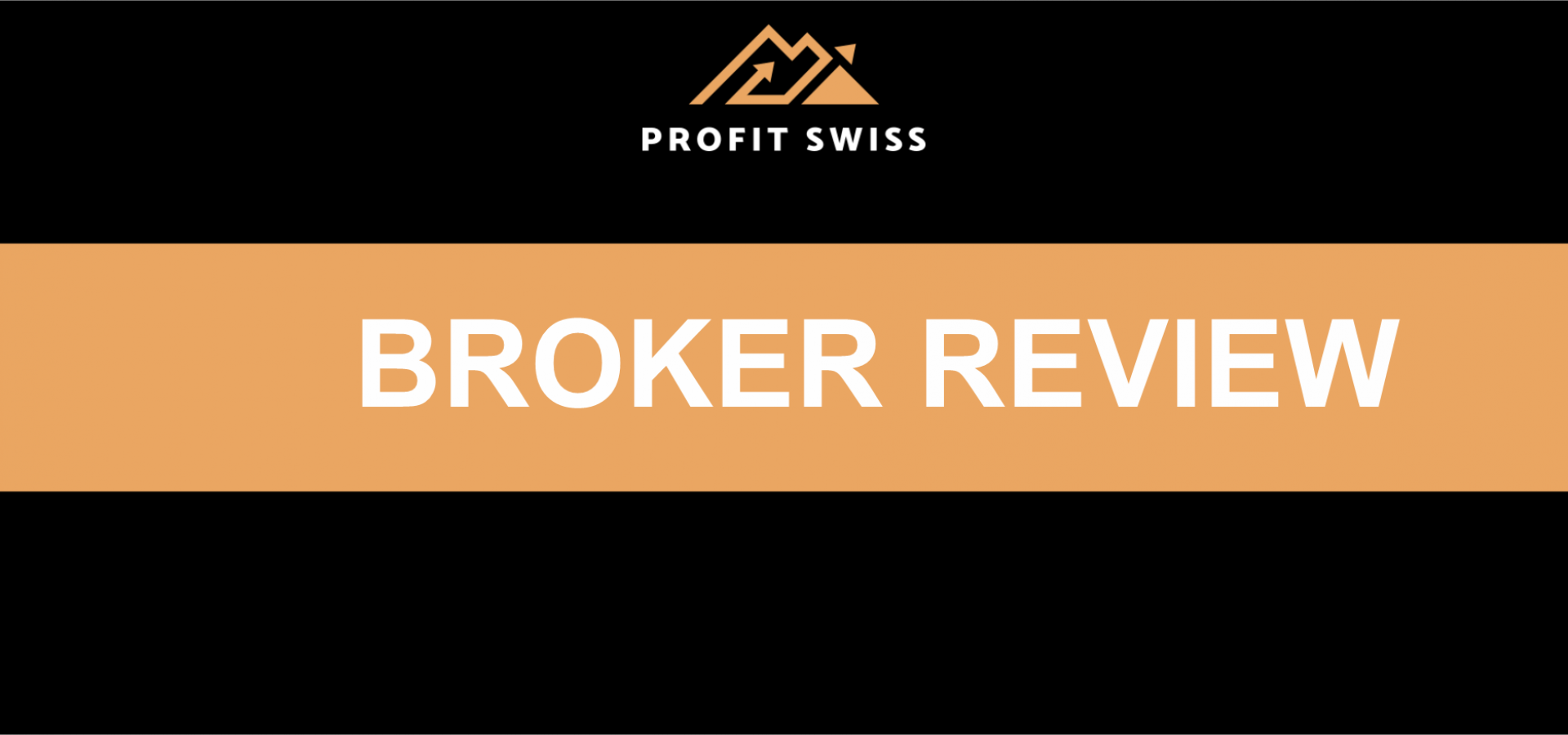 Profit Swiss Review
