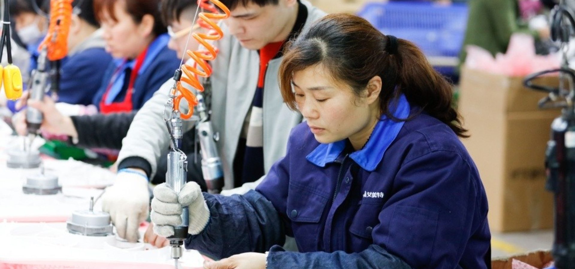 Wibest – Chinese: A Chinese woman busy working in a factory.
