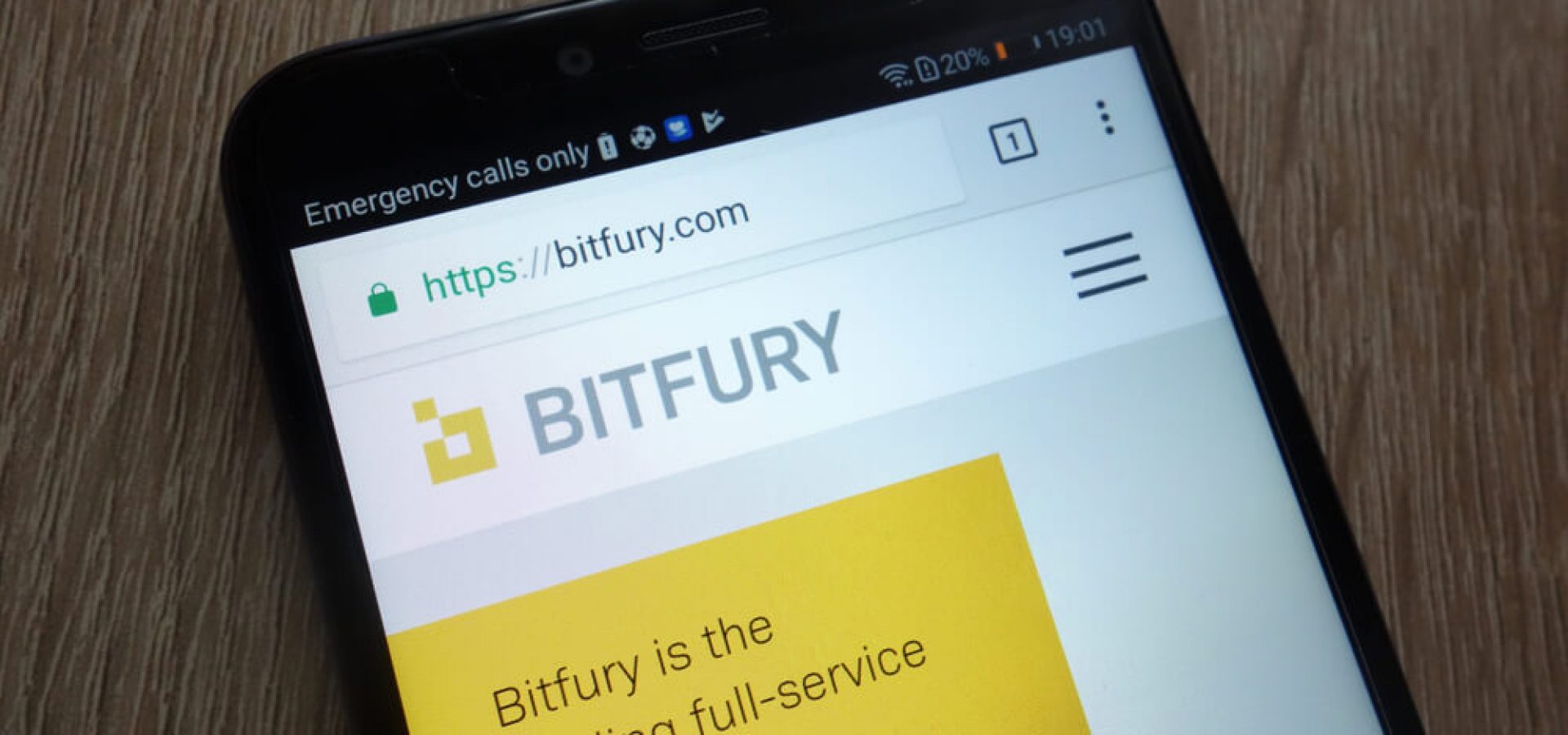Block Chain: The Bitfury Group sign on a modern smartphone.