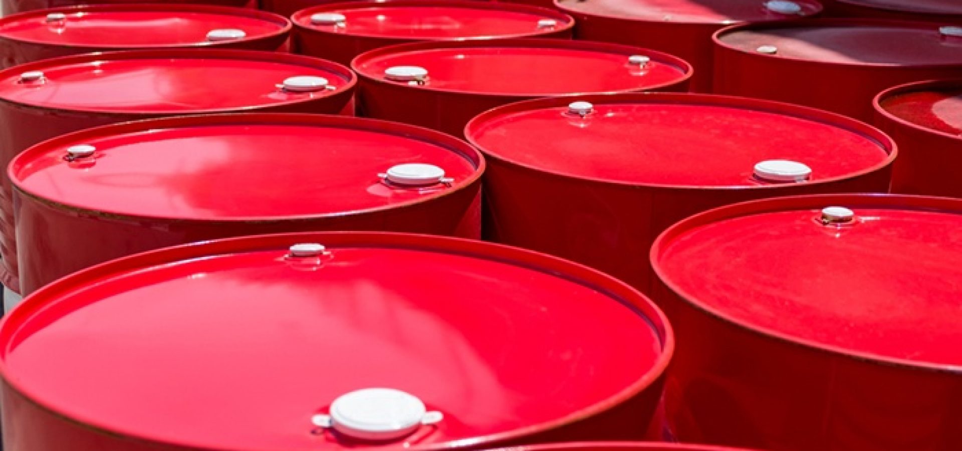 Wibest – Petroleum and oil: Crude oil barrels.