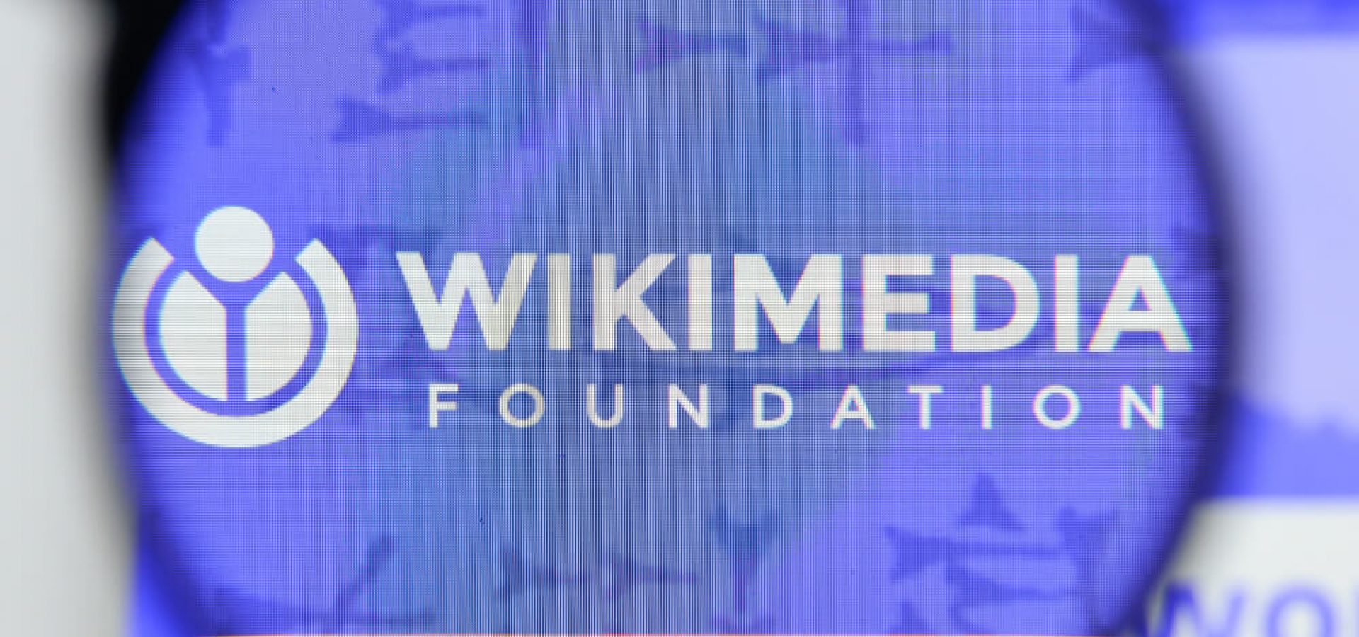 Wikimedia Foundation website homepage.