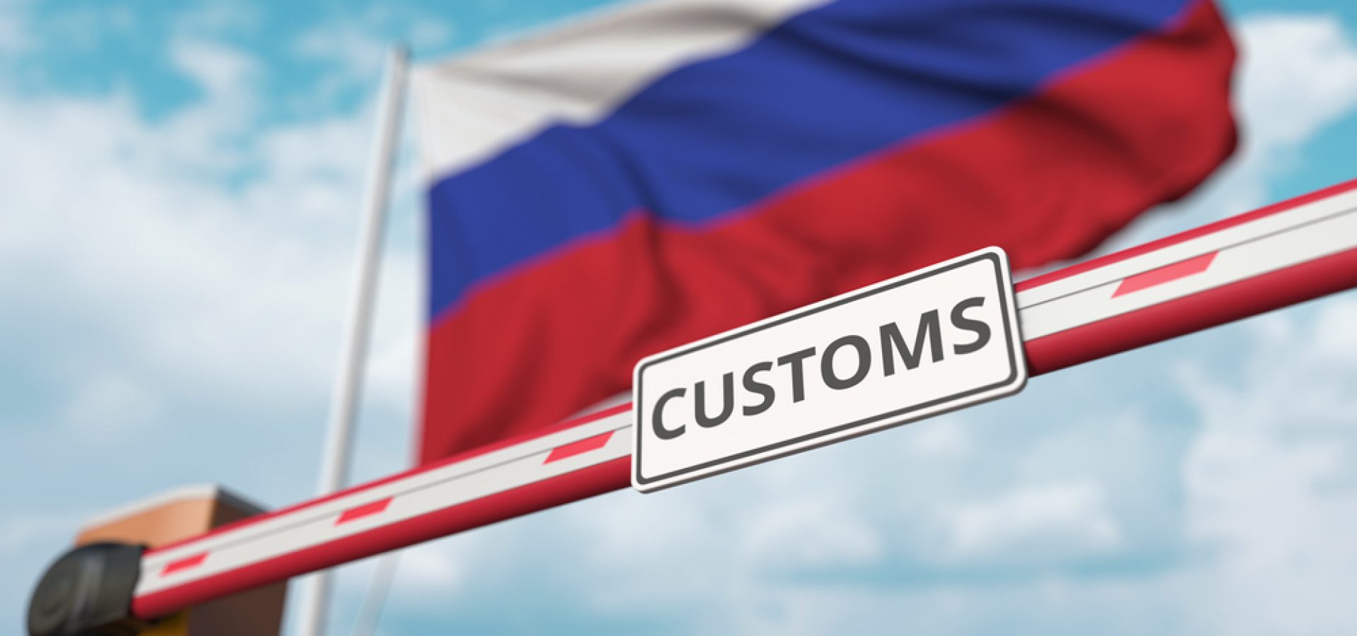 Difficult Task of Replacing Critical Imports for Russia