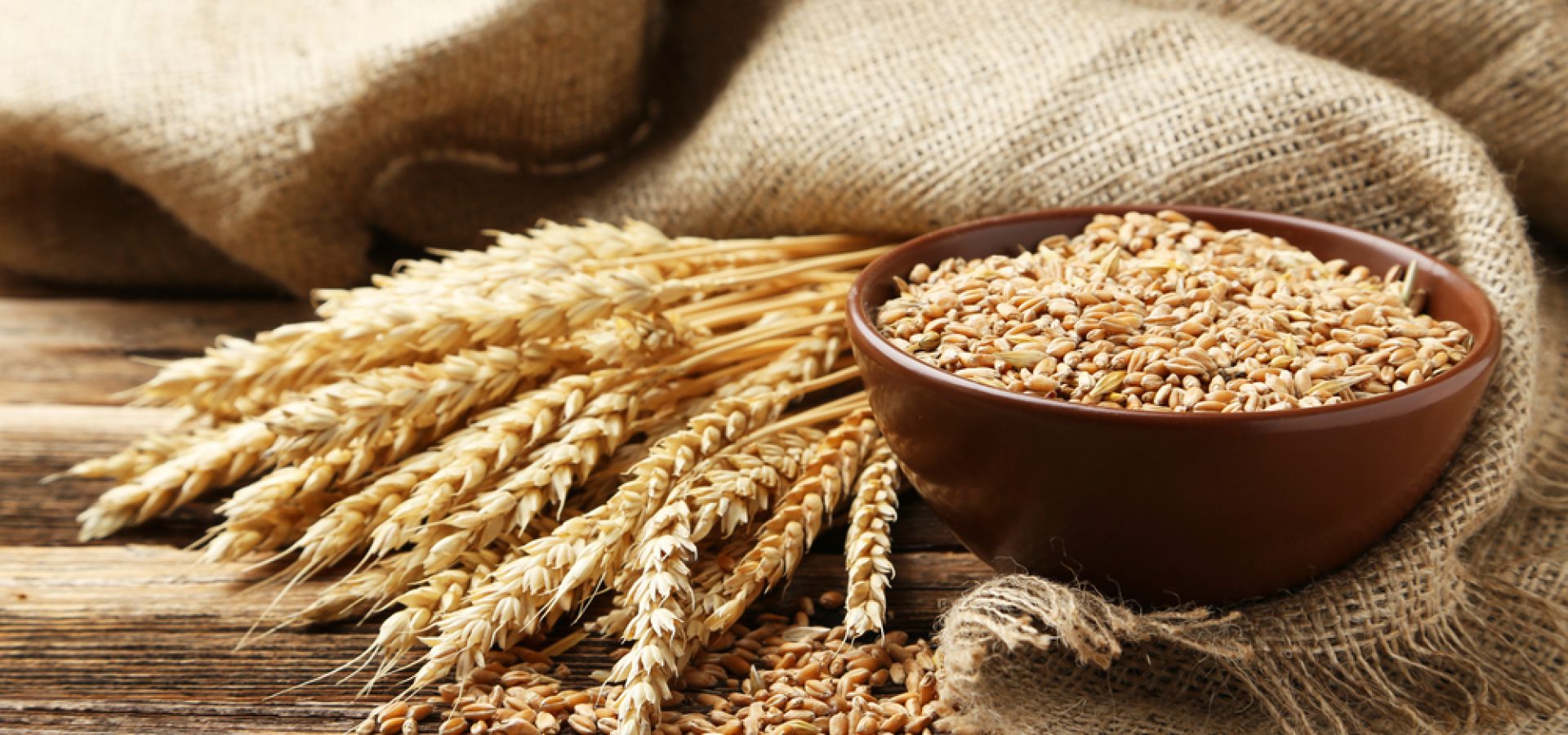 Wheat prices down on Russia-Ukraine ceasefire hopes