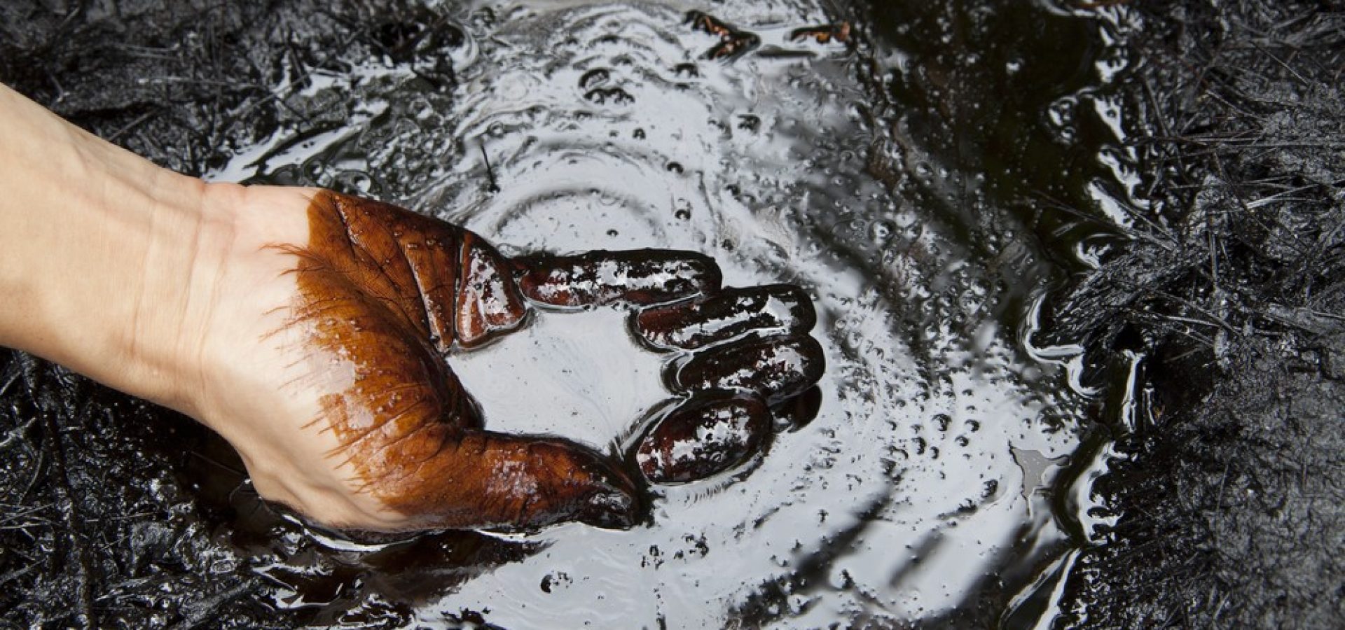 Wibest – Petroleum and Oil: Crude oil spilled a hand touching its surface.
