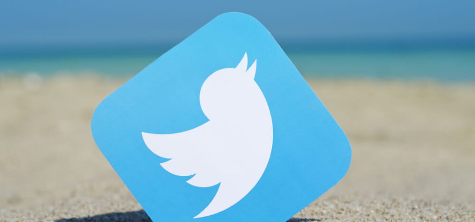 Twitter logotype printed on paper and placed in the sand against the sea.