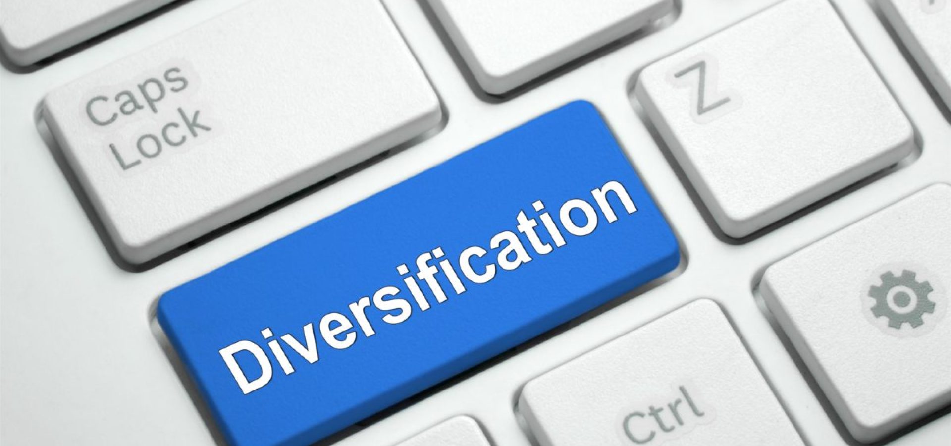 Diversification and its importance