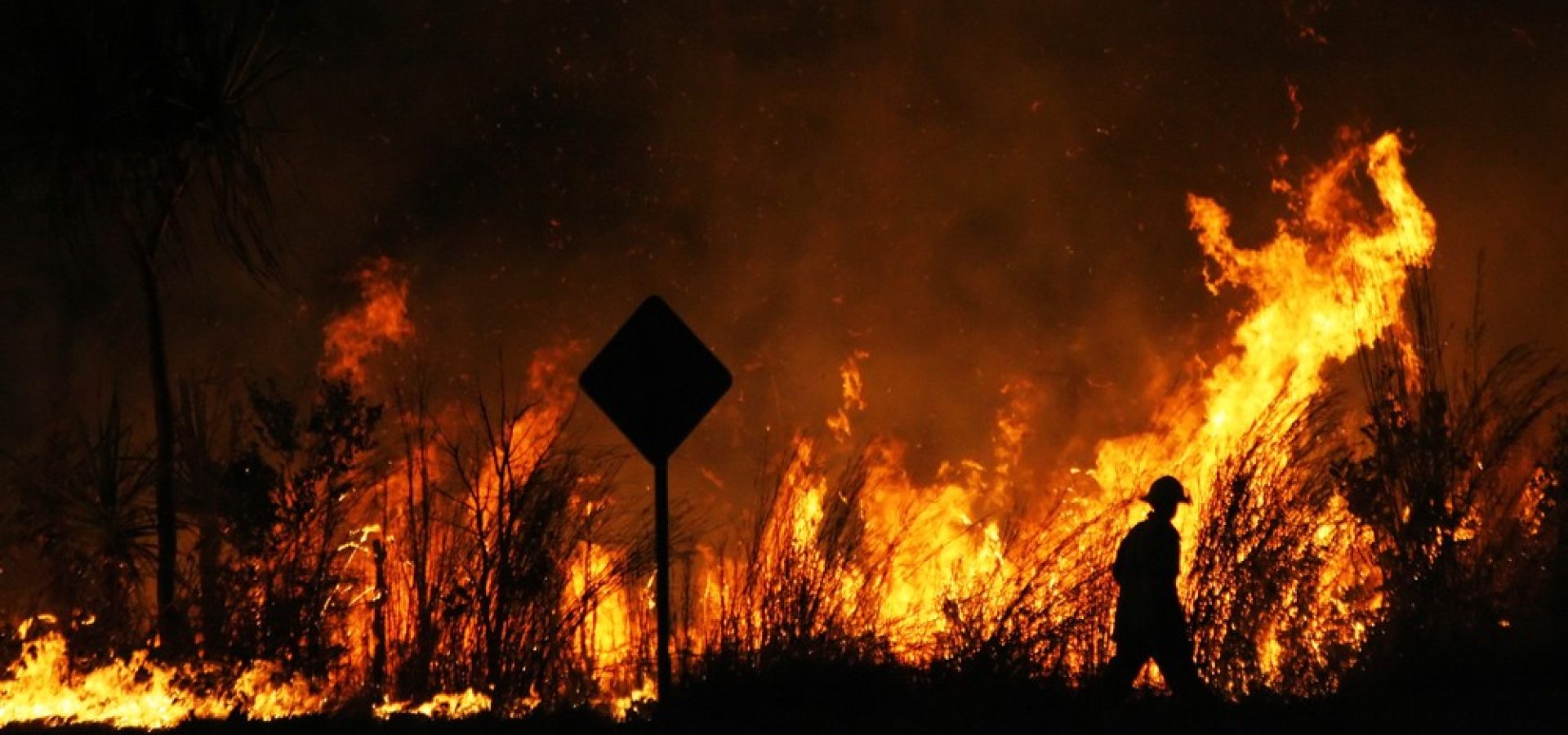 Wibest – Australian Money: A firefighter trying to control a bush fire at night.