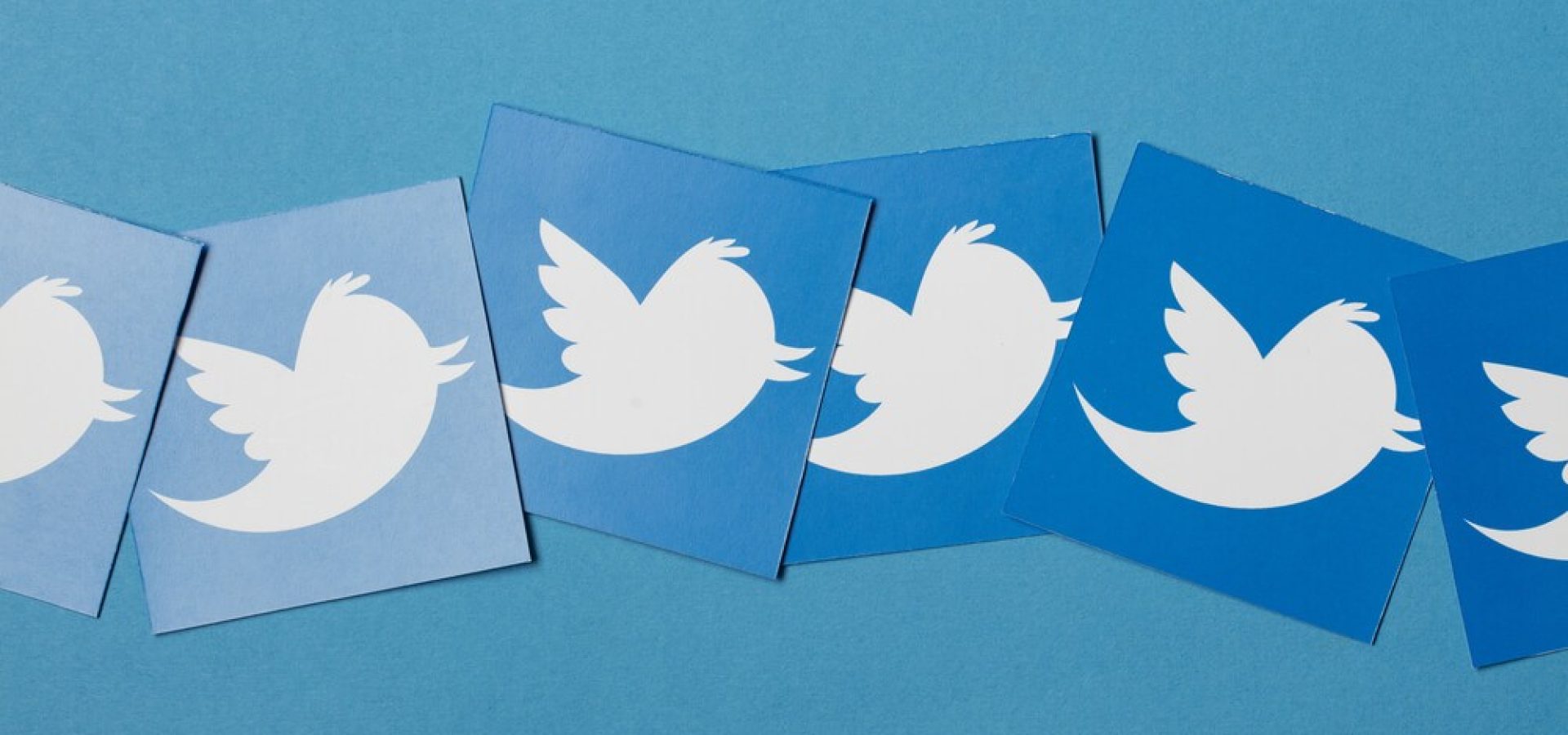 Twitter: Twitter logo printed onto paper.