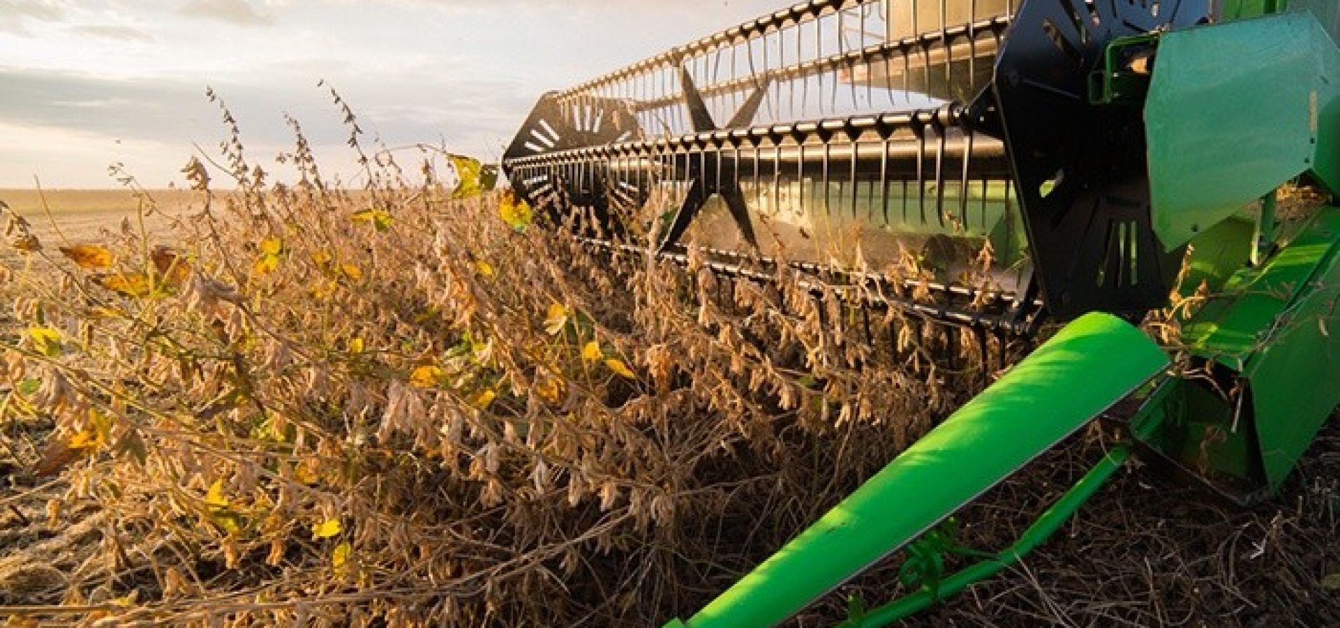 Wibest – China: Soybeans being harvested