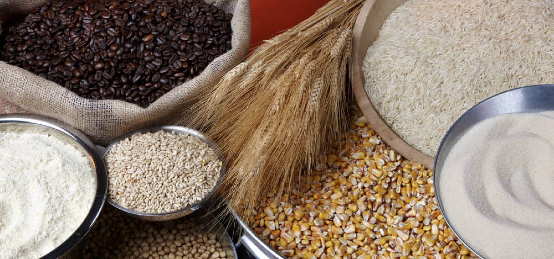 Commodity Exchange: Still life shot of agricultural commodities.